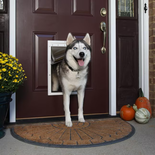 PetSafe 12-1/2-in x 19-3/4-in White Plastic Large Dog/Cat Door for Entry Door