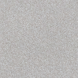 STAINMASTER Welcome Retreat II London Fog Off-white 53.6-oz sq yard Polyester Textured Indoor Carpet