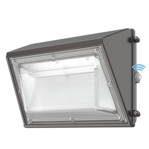 Wall-Pack Security Lights