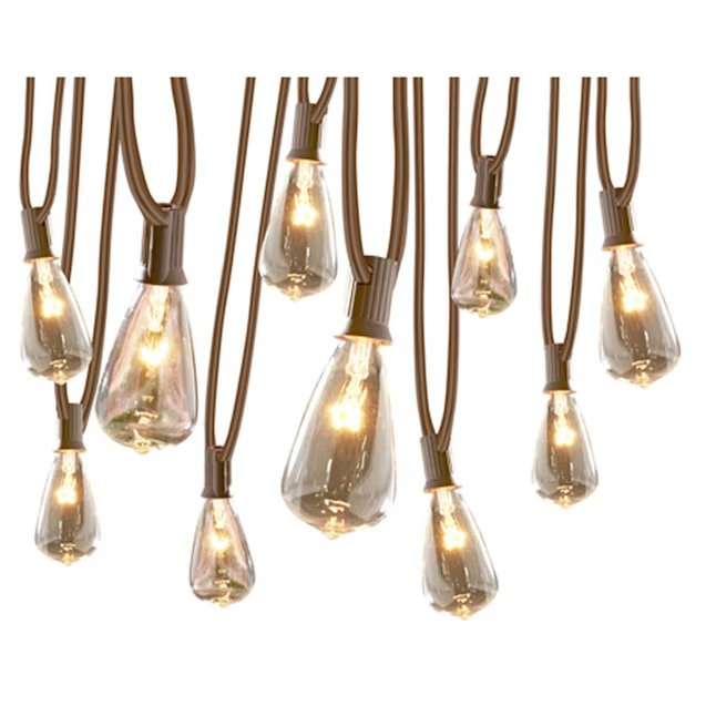 Allen + Roth - Cadena de luz para exteriores, color marrón, enchufable, 13 pies, con 10 bombillas Edison incandescentes de luz blanca