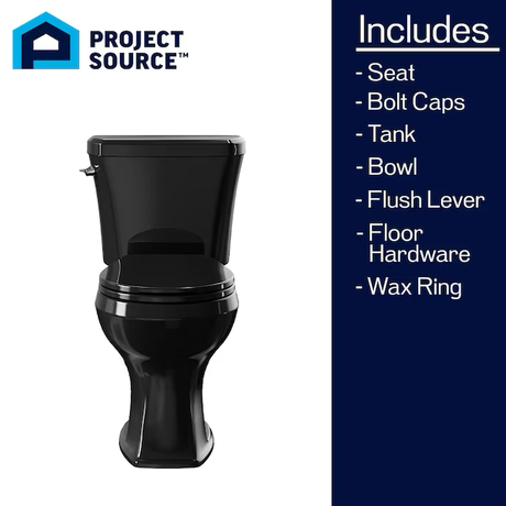 Project Source Danville Black Round Chair Height 2-piece WaterSense Toilet 12-in Rough-In 1.28-GPF