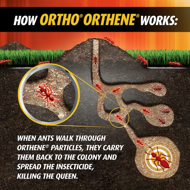 ORTHO Orthene Mata hormigas bravas de 12 onzas