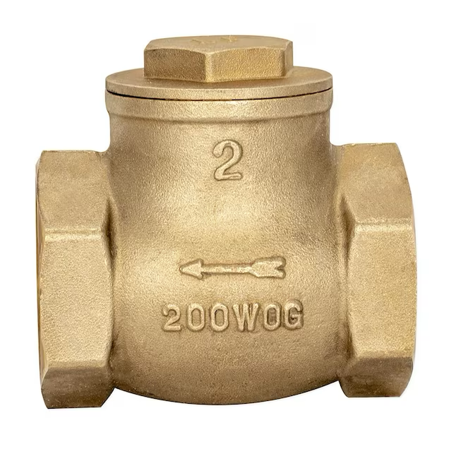 EZ-FLO 2-in Swing Check Valve