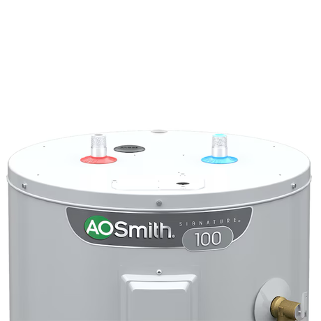 A.O. Smith Signature 100 50-Gallons Short 6-year Warranty 4500-Watt Double Element Electric Water Heater