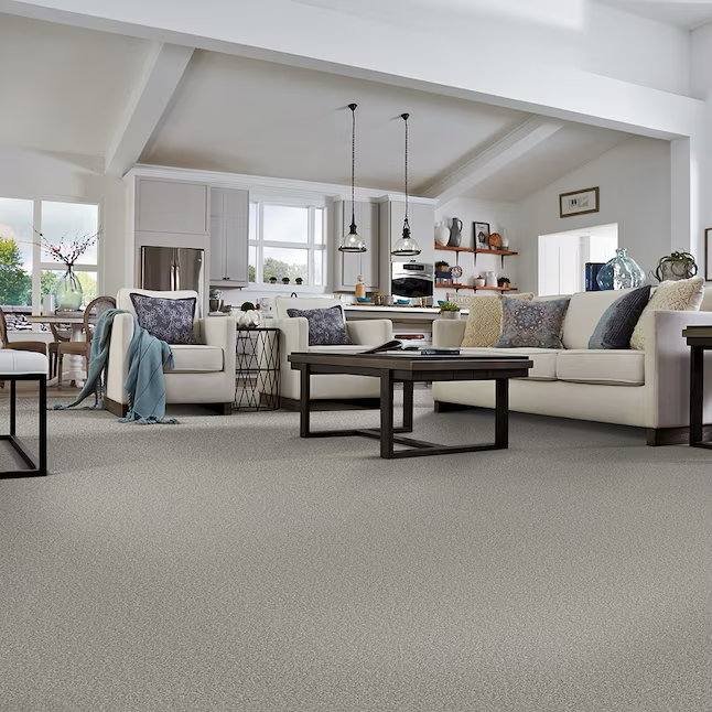 STAINMASTER Concerto Essay Multi-Colored 64-oz sq yard Polyester Textured Indoor Carpet