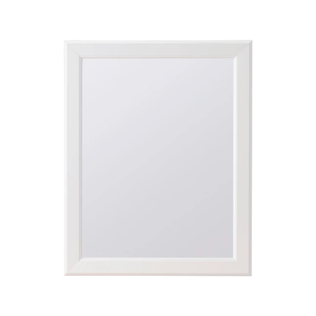 Project Source 15.25-in x 19.25-in Surface Mount White Mirrored Rectangle Medicine Cabinet