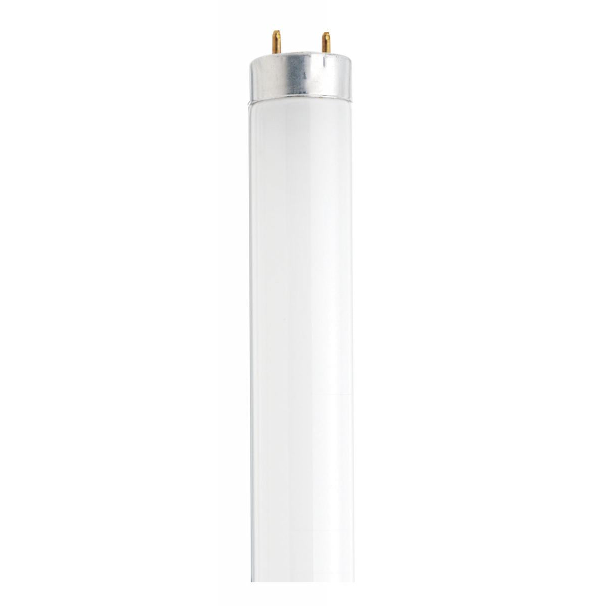 Sylvania T8 Cool White Medium Bi Pin base Bulb
