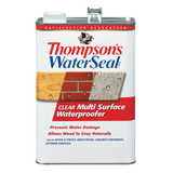 Thompson's WaterSeal Clear Flat Transparent Water-based Waterproofer (1-Gallon)
