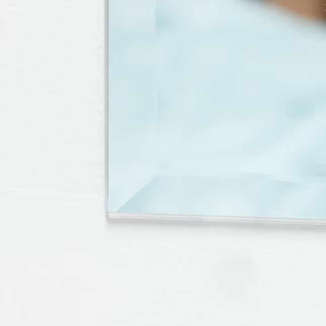 Project Source H Beveled Frameless Wall Mirror