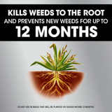 Roundup Dual Action 365 Plus 12 Month Preventer 1 galón listo para usar herbicida y herbicida