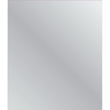 Project Source Espejo de pared sin marco pulido de 30 pulgadas de ancho x 40 pulgadas de alto