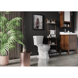 Project Source Danville White Elongated Chair Height 2-piece WaterSense Toilet 12-in Rough-In 1.28-GPF