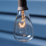 Allen + Roth 13-Fuß-Plug-in-Außenlichterkette in Braun mit 10 Weißlicht-Edison-Glühbirnen