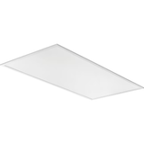 Lithonia Lighting 4-ft x 2-ft Cool White LED Panel Light