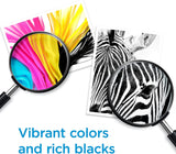 Cartuchos de tinta HP 64 negro/tricolor (paquete de 2) 
