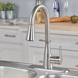 Project Source Ellesburg Stainless Steel Single Handle Pull-down Kitchen Faucet with Deck Plate