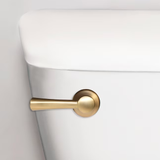 Korky Strong Arm Simple 8-in Front/side/neo-angle Mount Brushed Gold Universal Fit Handle with Lever