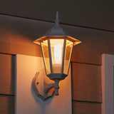 Project Source 1-Light 14-in Sand White Outdoor Wall Light
