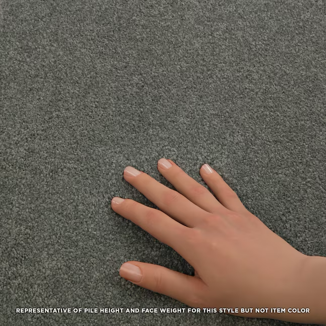 STAINMASTER PetProtect Best Of Breed II Simple Stone Gray 58.5-oz sq yard Nylon Textured Indoor Carpet