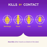 Hot Shot Bedbug and Flea 2-oz Insect Killer Fogger (3er-Pack)