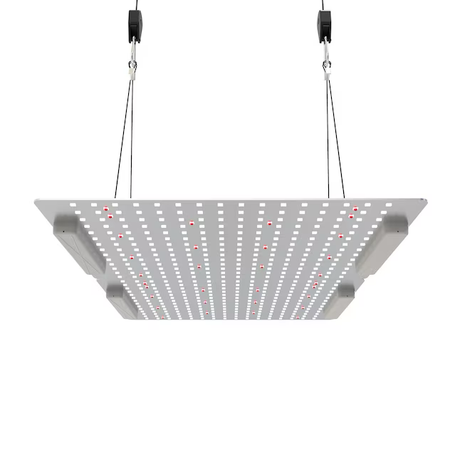 BOOST LIGHTING Kit de luces de cultivo LED de espectro completo de 18,9 pulgadas, 1 luz plateada, 225 vatios
