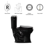 Project Source Danville Black Round Chair Height 2-piece WaterSense Toilet 12-in Rough-In 1.28-GPF