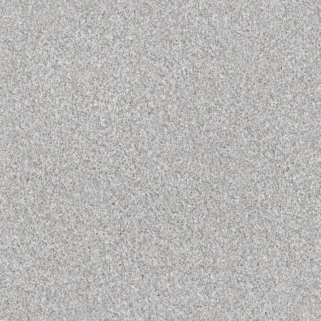 STAINMASTER Welcome Retreat I London Fog Off-white 43.9-oz sq yard Polyester Textured Indoor Carpet