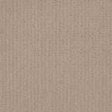 STAINMASTER PetProtect Summer Nights Tumbleweed Brown 39-oz sq yard Nylon Pattern Indoor Carpet