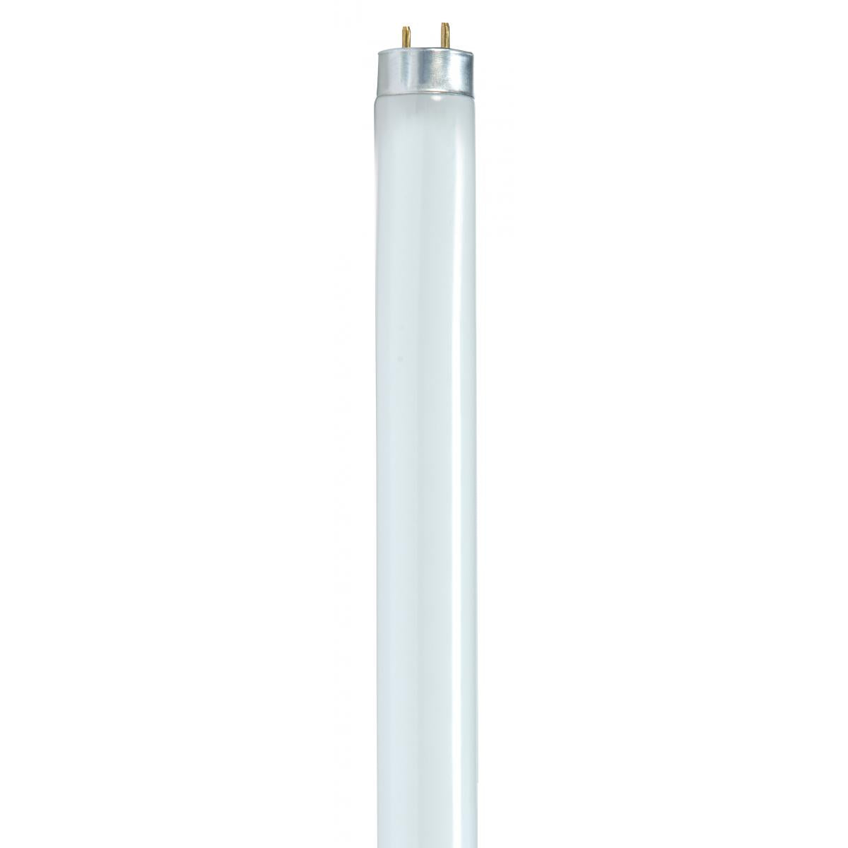 Bombilla fluorescente Satco T8, color blanco frío, mediana, con base bipin