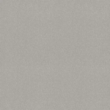 STAINMASTER PetProtect Best Of Breed II Alfombra interior texturizada de nailon gris piedra simple de 58.5 onzas por yarda cuadrada