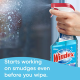 Limpiador de vidrio Windex Original Commercial Line, botella vertedora de 128 onzas líquidas