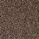 STAINMASTER Ballad Manuscript Brown 44-oz sq yard Polyester Textured Indoor Carpet
