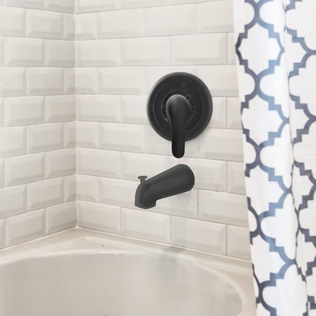 Danco Matte Black 2-handle Bathtub and Shower Faucet