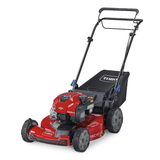 Toro Recycler 150-cc 22-in Gas Self-propelled Lawn Mower with Briggs and Stratton Engine