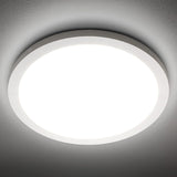 SunRider 12" LED Flush Mount Light Fixture