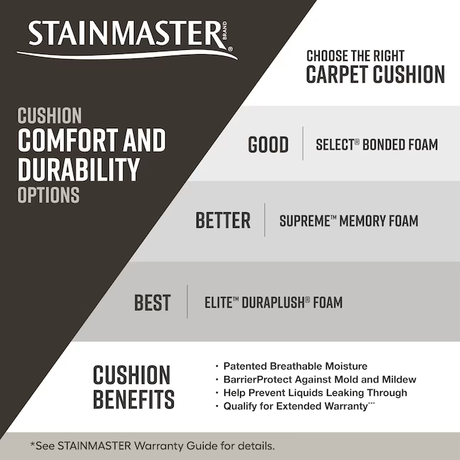 STAINMASTER Concerto Essay Multi-Colored 64-oz sq yard Polyester Textured Indoor Carpet