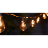 Allen + Roth - Cadena de luz para exteriores, color marrón, enchufable, 13 pies, con 10 bombillas Edison incandescentes de luz blanca