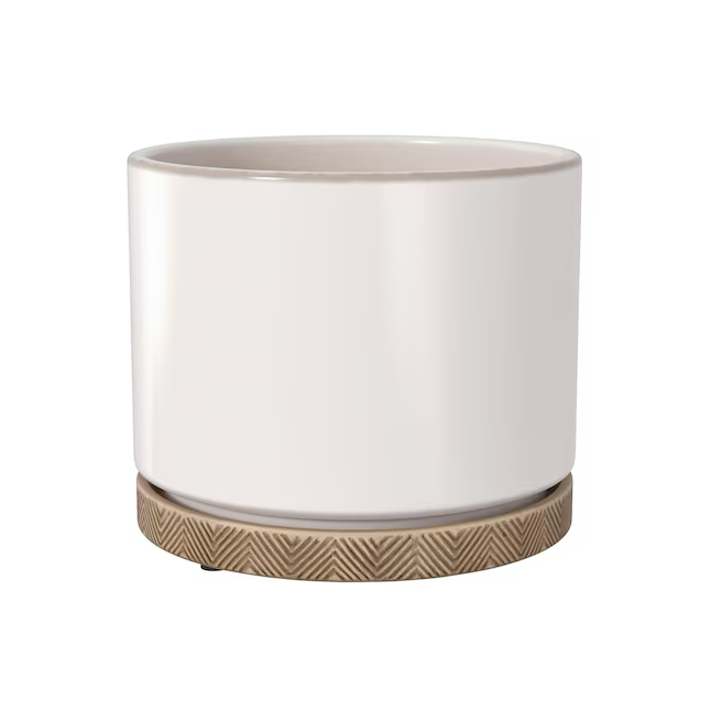 allen + roth Round 5.04-Inches W Medium White Ceramic Indoor Planter w ...