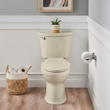 American Standard MightyTuff Plastic Bone Elongated Soft Close Toilet Seat
