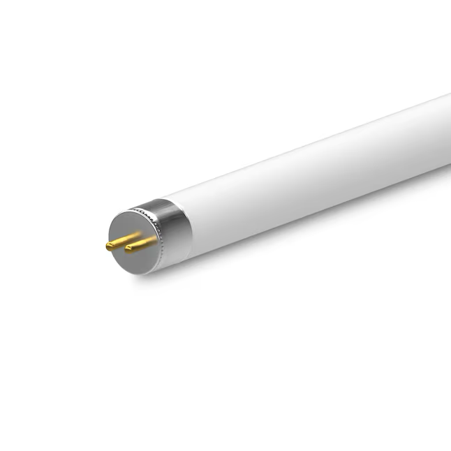 Cree Lighting 32 -Watt EQ T8 Cool white Medium bi-pin base G13 Fluorescent Tube Light Bulb (12-Pack)