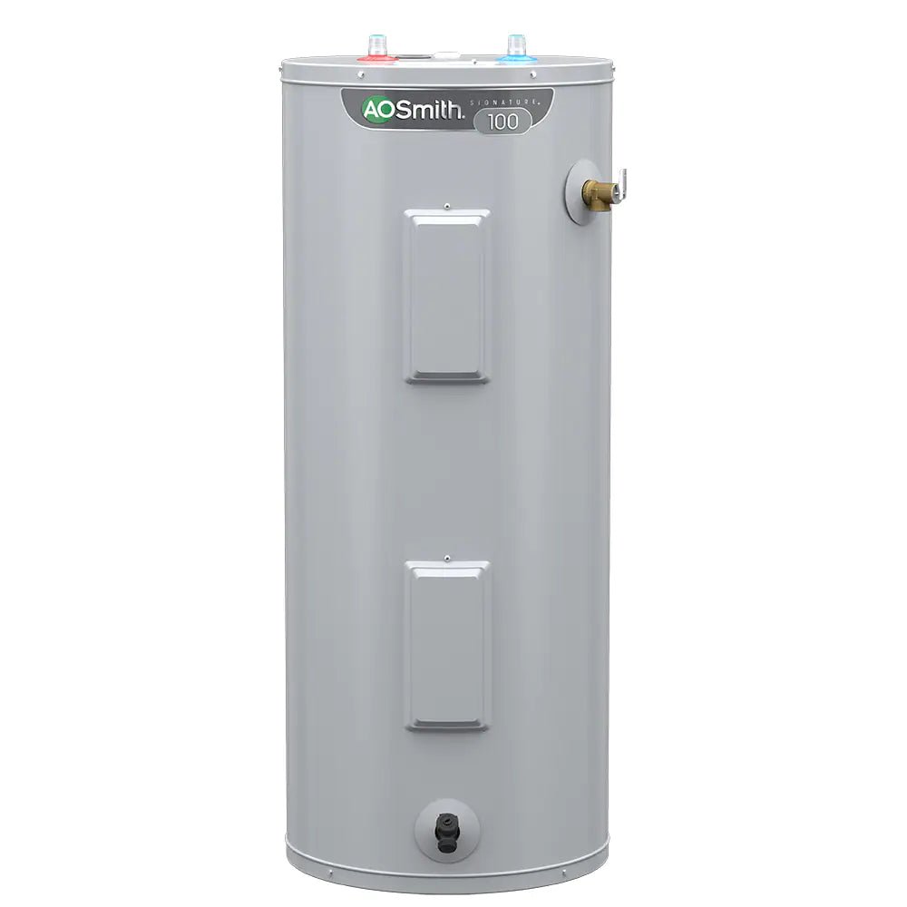 A.O. Smith  Signature 100 30-Gallon Tall 6-year Limited Warranty 4500-Watt Double Element Electric Water Heater