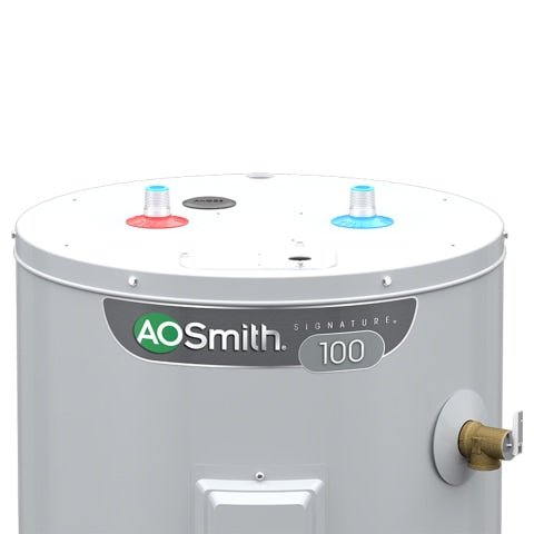 AO Smith Signature 100 30-Gallonen-Hochwasserbereiter, 6 Jahre eingeschränkte Garantie, 4500-Watt-Doppelelement-Elektro-Warmwasserbereiter