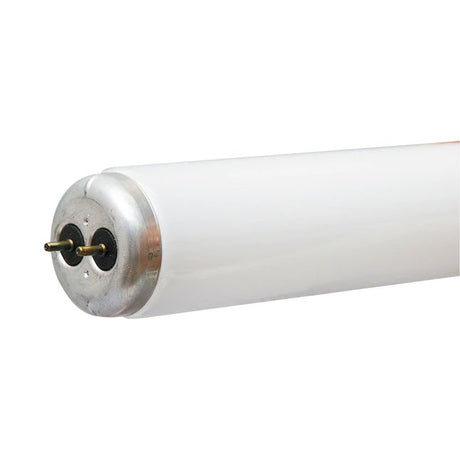 GE 32-Watt 48-in Medium Bi-pin (T8) 4100 K Bombilla fluorescente blanca fría (paquete de 30)