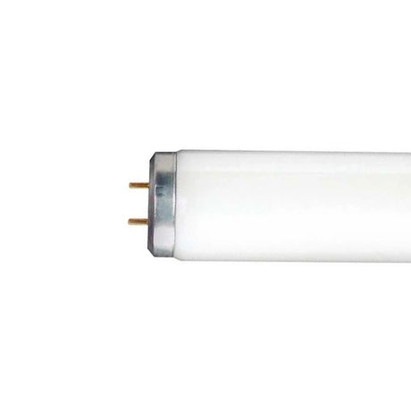 Bombilla fluorescente GE lineal blanca fría mediana de dos pines (T12) (paquete de 30)