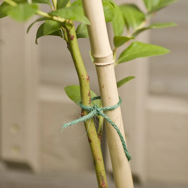 Gardener's Blue Ribbon 200-ft Green Jute Twine