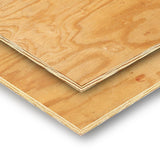 Plytanium  3/8-in x 4-ft x 8-ft Rated Pine Plywood Sheathing