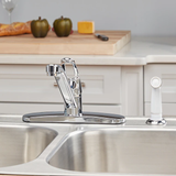 Project Source Wakebridge Chrome Single Handle Low-arc Kitchen Faucet (Deck Plate Included)