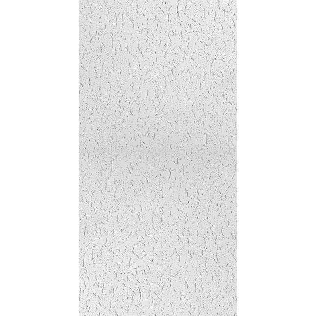 USG Ceilings 48-in x 24-in 8-Pack White Fissured 5/8-in Drop Ceiling Plank