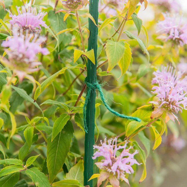 Gardener's Blue Ribbon 200-ft Green Jute Twine