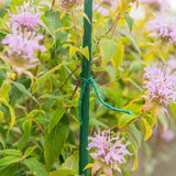 Gardener's Blue Ribbon 200 Fuß grüne Juteschnur